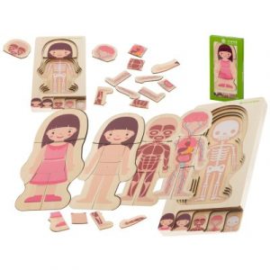 Fából készült puzzle - emberi test kislány - egyszerű, képi formában segíti a gyermeket az emberi felépítésről ismereteket szerezni.