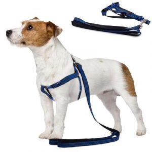 Hám kutyának pórázzal 125 cm - a fényvisszaverő kék fényvisszaverő csíkokkal is rendelkezik, ami növeli kedvencünk biztonságát.