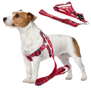 Hám kutyának pórázzal 135x2,5cm | a piros tökéletes megoldás hosszú sétákhoz háziállattal. Póráz hossza: 135 cm.