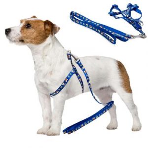 Hám kutyának pórázzal 125cm | a kék tökéletes megoldás hosszú sétákhoz háziállattal. Póráz hossza: 125 cm.