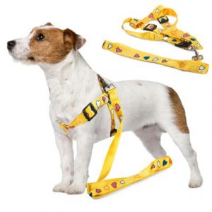 Hám kutyának pórázzal 135x2,5cm | a sárga tökéletes megoldás hosszú sétákhoz háziállattal. Póráz hossza: 135 cm.