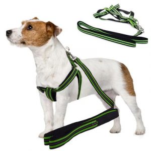 Hám kutyának pórázzal 125x1,5 cm - a fényvisszaverő zöld fényvisszaverő csíkokkal is rendelkezik, ami növeli kedvencünk biztonságát