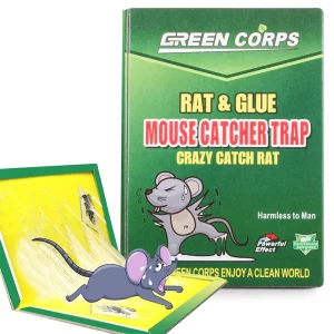 Öntapadós egércsapda 24 cm - univerzális módja egerek, patkányok és rovarok elfogásának. Nem mérgező és speciális, nem száradó ragasztót tartalmaz.